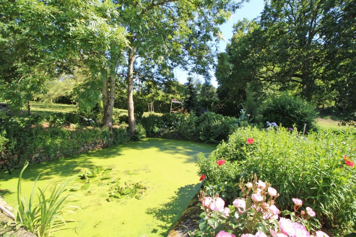 فيلا Chez Le Bayle Condat-sur-Vienne المظهر الخارجي الصورة